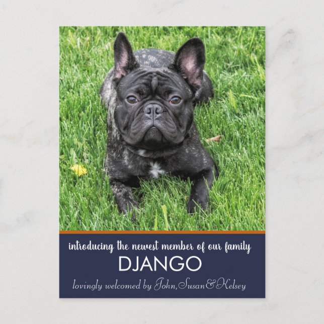 Cartão Postal "Apresentando" nosso novo anúncio de cachorro (Frente)