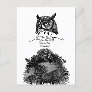 Cartão Postal Apresentar a sabedoria do Empath Owl ilustra citaç