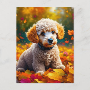 Cartão Postal Apricot Poodle Puppy em Folhas de Queda