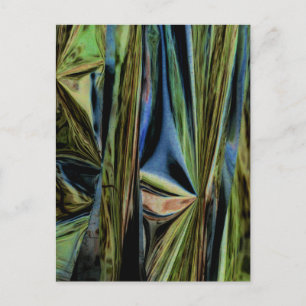 Cartão Postal "April Woods III" Foto de Abstrato Alterada Digita
