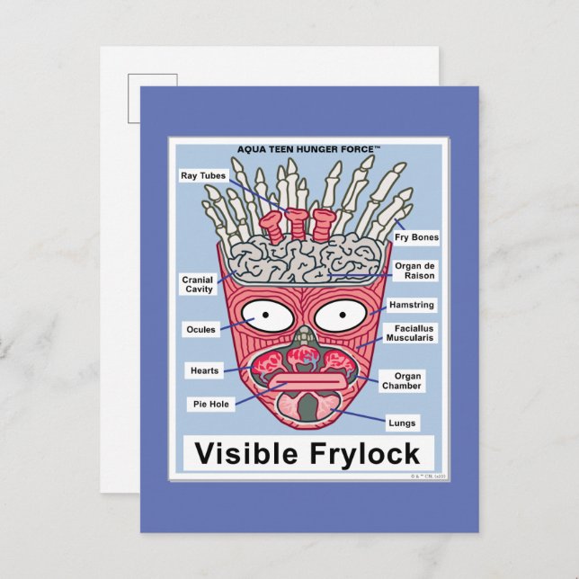 Cartão Postal Aqua Teen Fome Force Visible Frylock Poster (Frente/Verso)