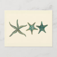 Aquamarine Triple Starfish