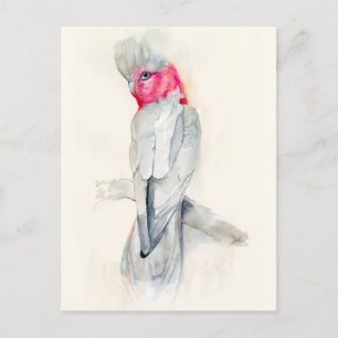 Cartão Postal Aquarela