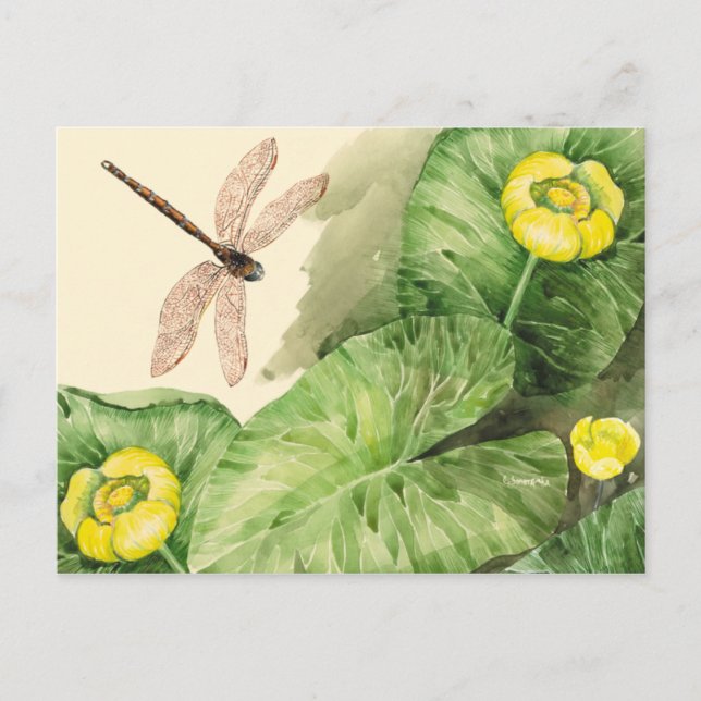 Cartão Postal aquarela aquosa (Frente)