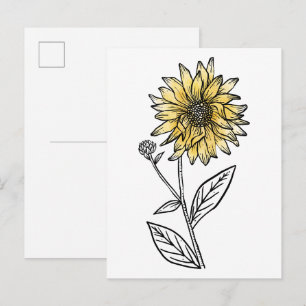 Cartão Postal Aquarela botânica estética arte linha girassol