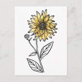 Cartão Postal Aquarela botânica estética arte linha girassol 