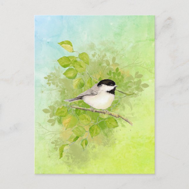 Cartão Postal Aquarela Chickadee Bird Natureza (Frente)