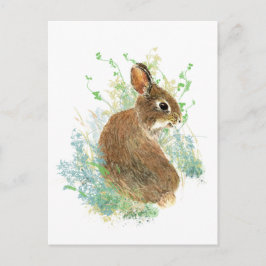 Cartão Postal Aquarela Coelho Coelho Coelho Coelho Coelho Coinho