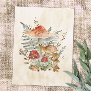Cartão Postal Aquarela Cogumelos e Folhas de Samambaia Vintage