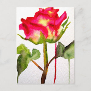 Cartão Postal Aquarela de Rosa de Chá Híbrida arte floral modern