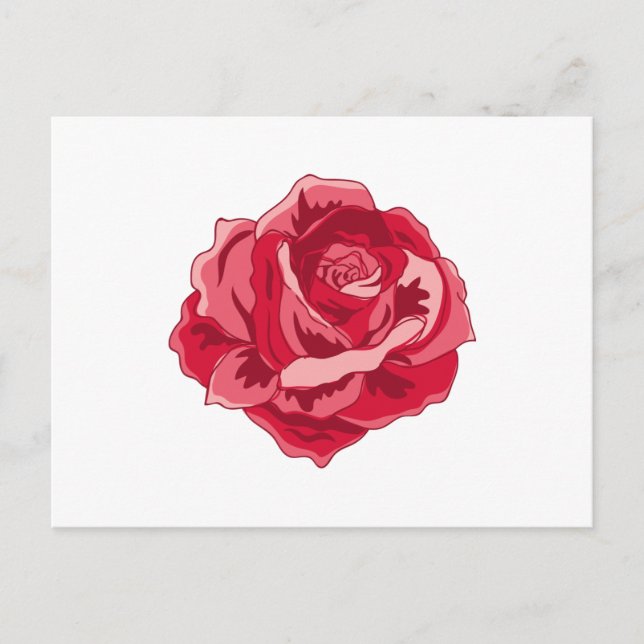 Cartão Postal Aquarela de Rosa Rosa (Frente)