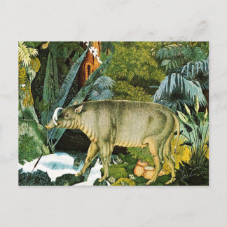 Cartão Postal Aquarela de um Porco Selvagem de Babirusa