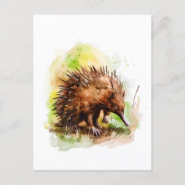 Cartão Postal Aquarela Echidna em configuração natural