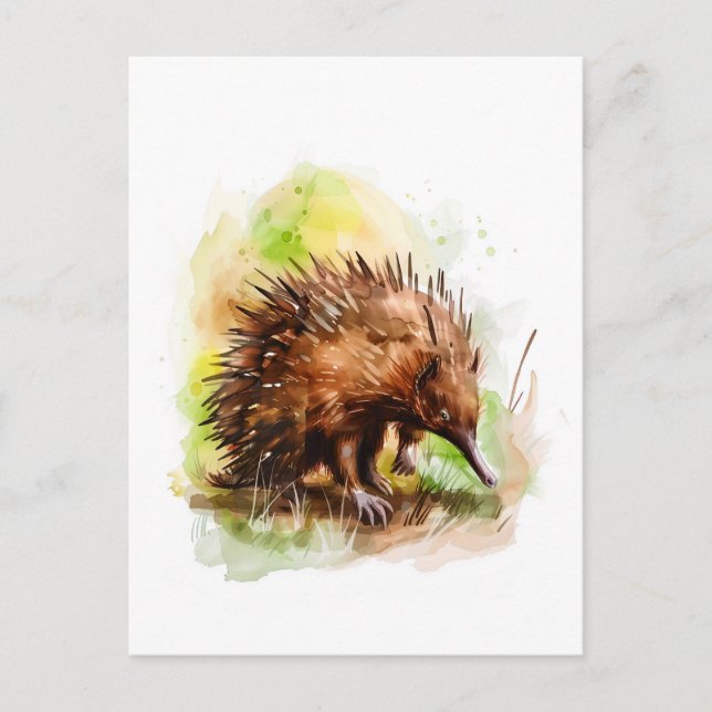 Cartão Postal Aquarela Echidna em configuração natural (Frente)