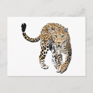 Cartão Postal aquarela leopardo gato da selva animal pintado ver