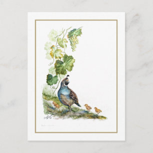 Cartão Postal Aquarela Original Família de Codorniz da Califórni