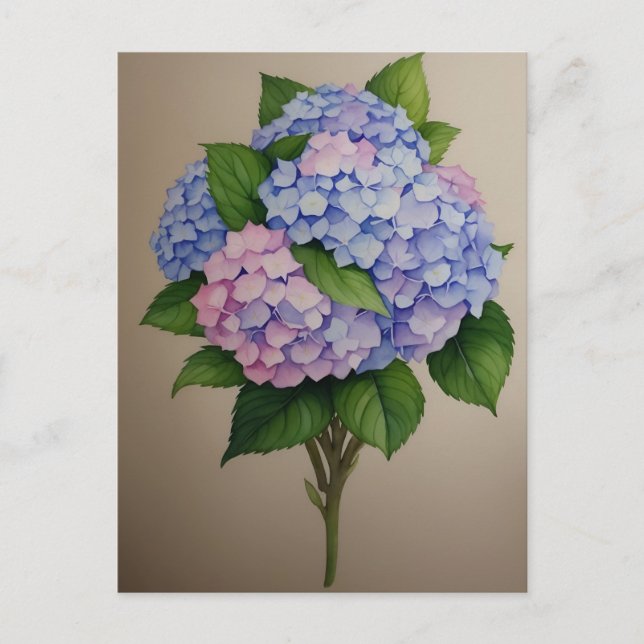 Cartão Postal Aquarela Puro Hydrangea Flower (Frente)