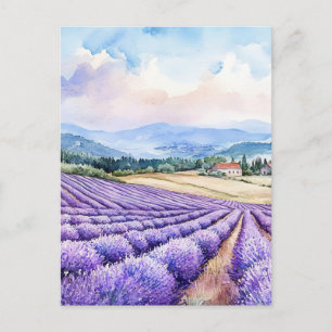 Cartão Postal Aquarelas campos de lavanda serenos