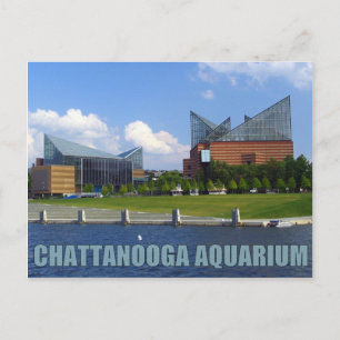 Cartão Postal Aquário Chattanooga