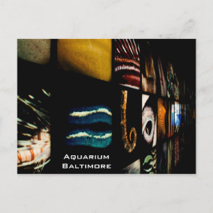 Cartão Postal Aquário de Baltimore