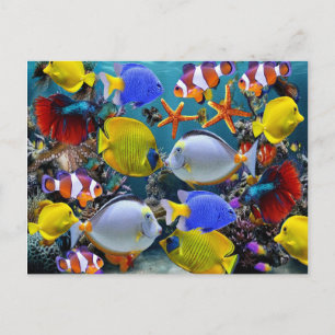 Cartão Postal aquário de pesca de peixes tropicais