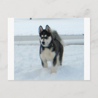 Cartão Postal Aqui está o problema