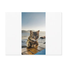 "Aqui estou" diz o Gato