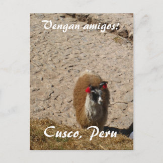 Cartão Postal Aqui lama do lama