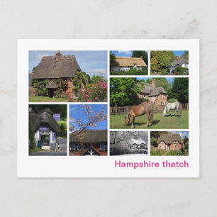 Cartão Postal Aquilo de Hampshire