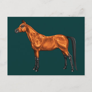 Cartão Postal árabe