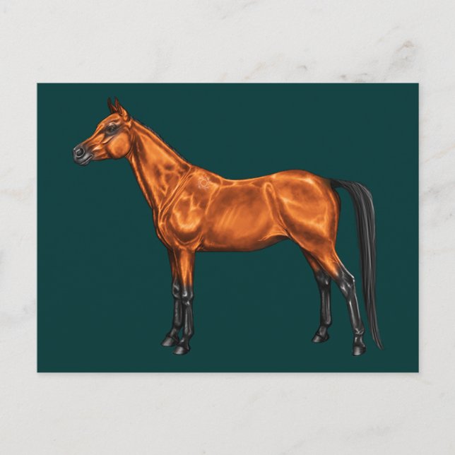 Cartão Postal árabe (Frente)