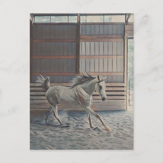 Cartão Postal Árabe artístico (Frente)