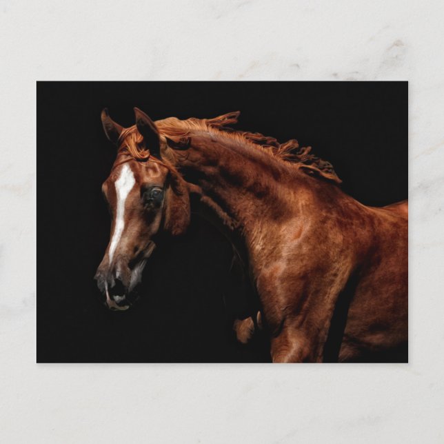 Cartão Postal Árabe majestoso (Frente)