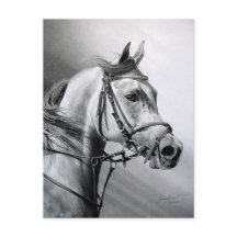 Cartão postal ARABIAN BEAUTY