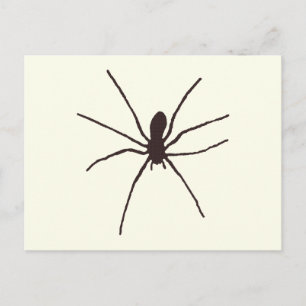Cartão Postal Aranha
