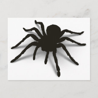 Cartão Postal Aranha 3D