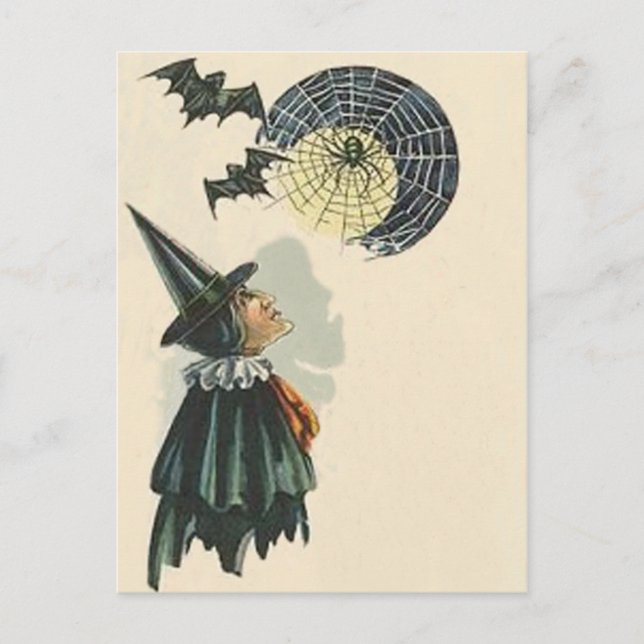 Cartão Postal Aranha Bruxa Morcego Teia de Aranha Teia Lua Cheia (Frente)