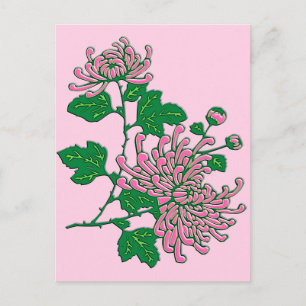 Cartão Postal Aranha-crisântemas chinesa - rosa-macio