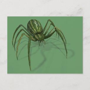 Cartão Postal Aranha-de-melancia Rara