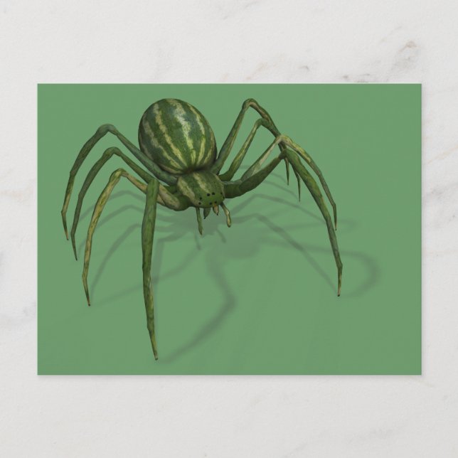 Cartão Postal Aranha-de-melancia Rara (Frente)