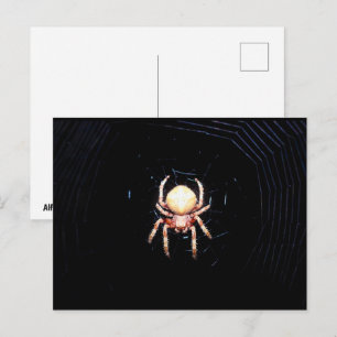 Cartão Postal Aranha de Rodas Laranja