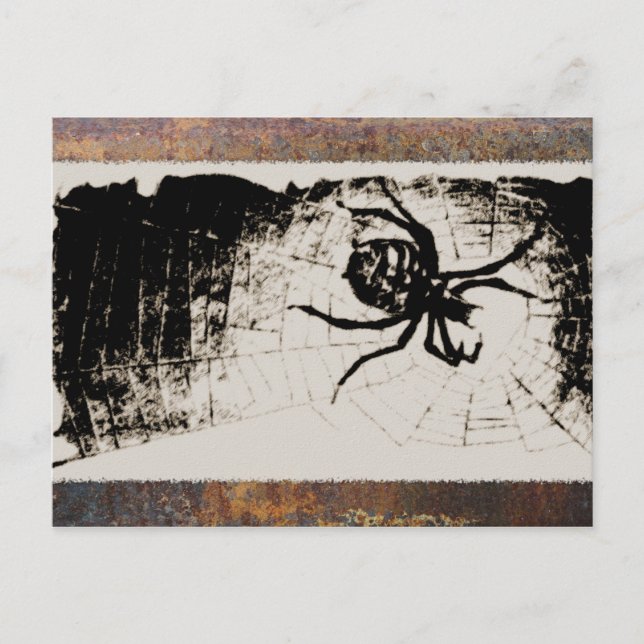 Cartão Postal Aranha-do-mato (Frente)