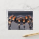 Cartão Postal Aranha-do-mato-tarantula (Frente/Verso In Situ)