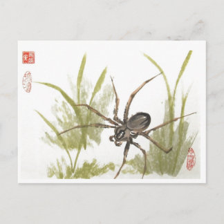 Cartão Postal Aranha-do-sol castanha sobre branco
