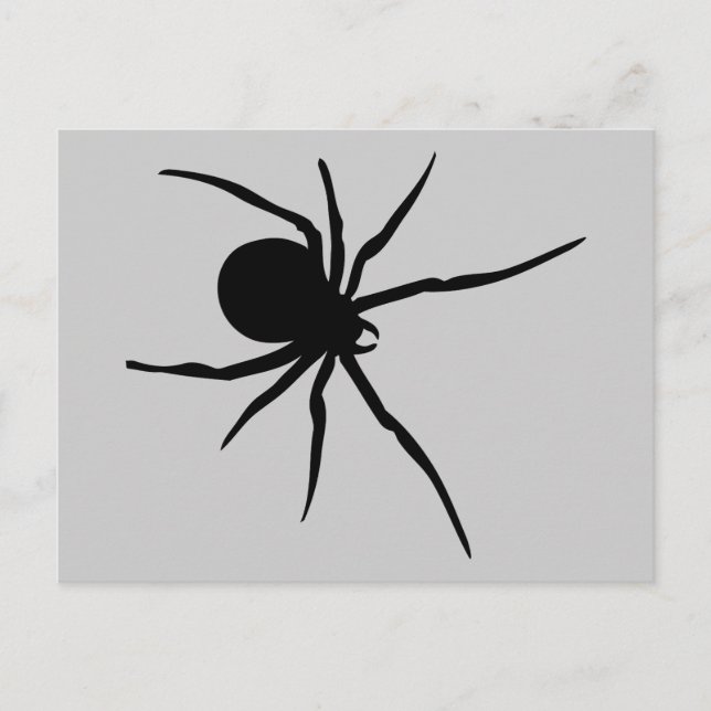 Cartão Postal Aranha Insetos Aranhas Arachnida Black Art Animal (Frente)