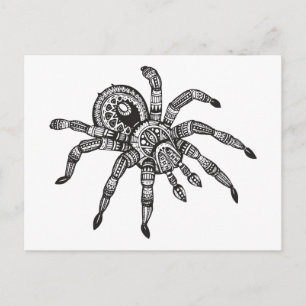 Cartão Postal Aranha Inspirada