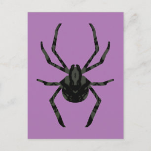 Cartão Postal Aranha Velha Comum