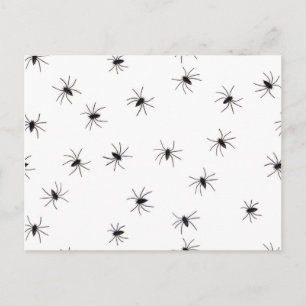 Cartão Postal Aranhas