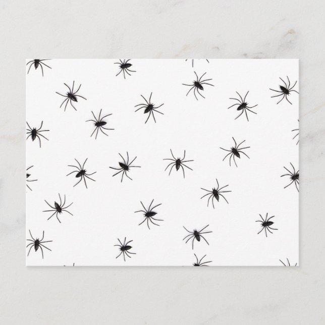 Cartão Postal Aranhas (Frente)