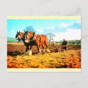 Cartão Postal Arar a terra agricultura vintage